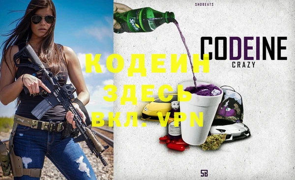 молекула духа Арсеньев