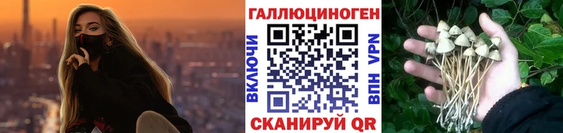 Псилоцибиновые грибы Magic Shrooms  магазин продажи наркотиков  Пушкино 